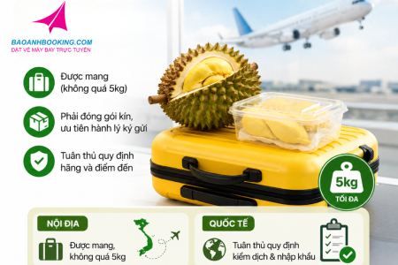 Mang sầu riêng lên máy bay​