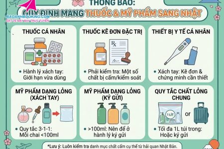 Những đồ không được mang lên máy bay sang Nhật